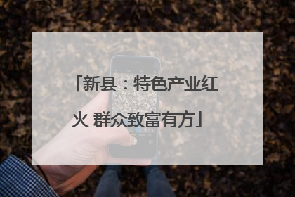 新县：特色产业红火 群众致富有方