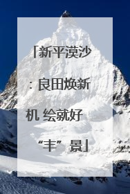 新平漠沙：良田焕新机 绘就好“丰”景