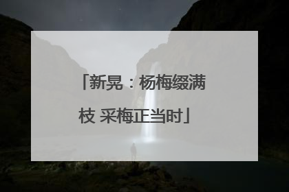 新晃：杨梅缀满枝 采梅正当时