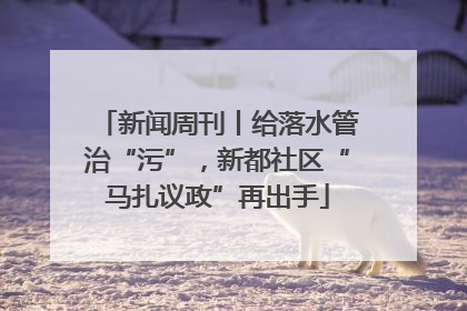 新闻周刊丨给落水管治“污”，新都社区“马扎议政”再出手