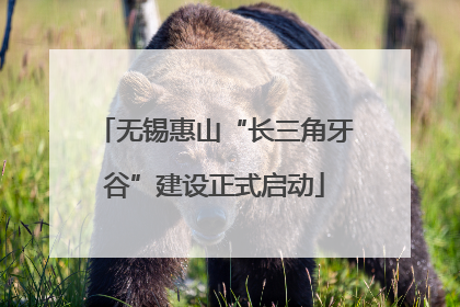 无锡惠山“长三角牙谷”建设正式启动