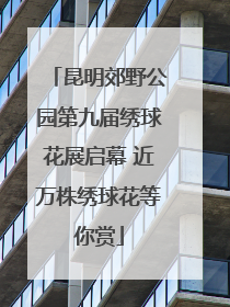 昆明郊野公园第九届绣球花展启幕 近万株绣球花等你赏