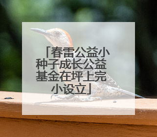 春雷公益小种子成长公益基金在坪上完小设立
