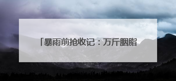 暴雨前抢收记：万斤胭脂红鲜桃传递“双向甜蜜”