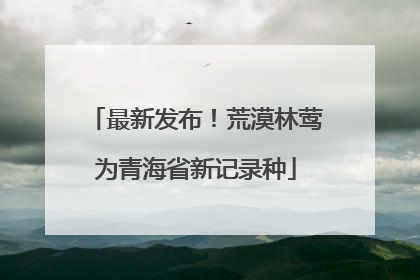 最新发布！荒漠林莺为青海省新记录种