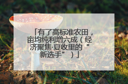 有了高标准农田，亩均纯利增六成（经济聚焦·夏收里的“新选手”）