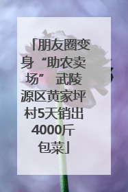 朋友圈变身“助农卖场” 武陵源区黄家坪村5天销出4000斤包菜
