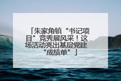 朱家角镇“书记项目”竞秀展风采！这场活动亮出基层党建“成绩单”