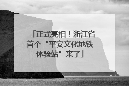 正式亮相！浙江省首个“平安文化地铁体验站”来了