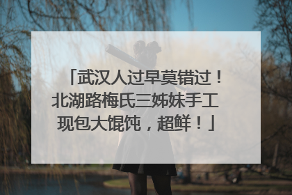 武汉人过早莫错过！北湖路梅氏三姊妹手工现包大馄饨，超鲜！
