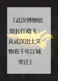 武汉博物馆馆长任晓飞：从武汉出土文物看千年江城变迁