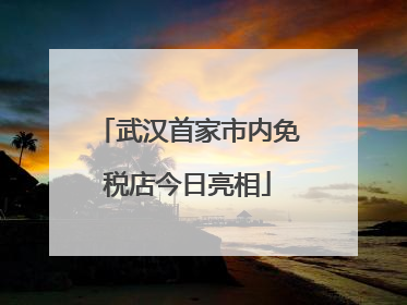 武汉首家市内免税店今日亮相