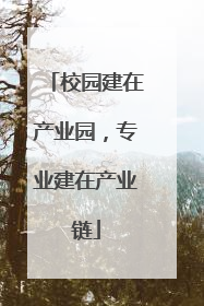 校园建在产业园，专业建在产业链