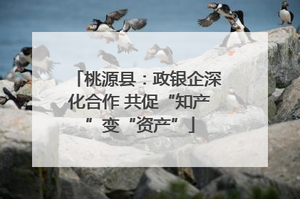 桃源县：政银企深化合作 共促“知产”变“资产”