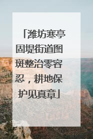 潍坊寒亭固堤街道图斑整治零容忍，耕地保护见真章
