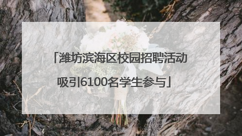 潍坊滨海区校园招聘活动吸引6100名学生参与