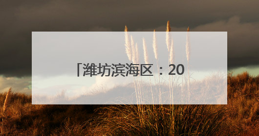 潍坊滨海区：2025年夏收工作圆满完成 5.22万亩小麦颗粒归仓