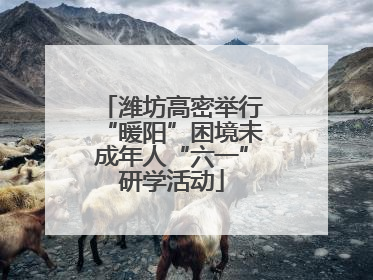 潍坊高密举行“暖阳”困境未成年人“六一”研学活动