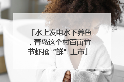 水上发电水下养鱼，青岛这个村百亩竹节虾抢“鲜”上市