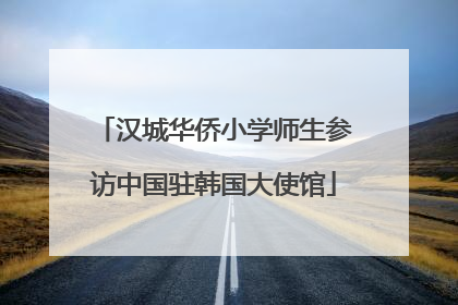 汉城华侨小学师生参访中国驻韩国大使馆