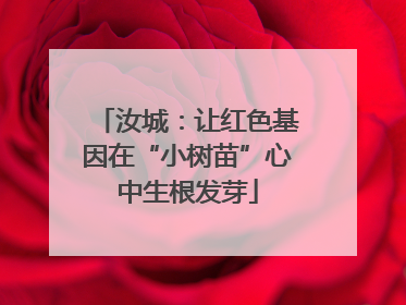 汝城：让红色基因在“小树苗”心中生根发芽