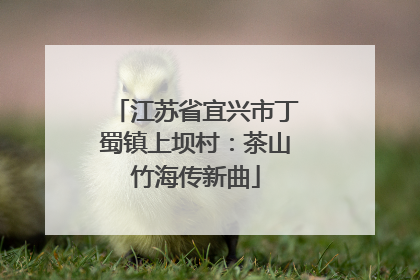 江苏省宜兴市丁蜀镇上坝村：茶山竹海传新曲