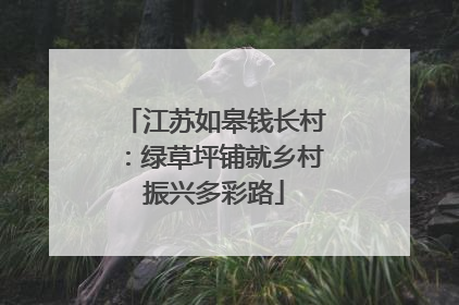 江苏如皋钱长村：绿草坪铺就乡村振兴多彩路
