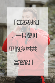 江苏射阳：一片桑叶里的乡村共富密码