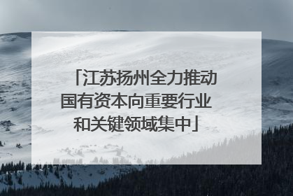 江苏扬州全力推动国有资本向重要行业和关键领域集中