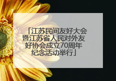 江苏民间友好大会暨江苏省人民对外友好协会成立70周年纪念活动举行