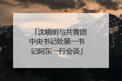 沈晓明与共青团中央书记处第一书记阿东一行会谈