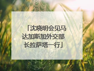 沈晓明会见马达加斯加外交部长拉萨塔一行