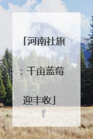 河南社旗：千亩蓝莓迎丰收