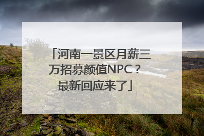 河南一景区月薪三万招募颜值NPC？最新回应来了