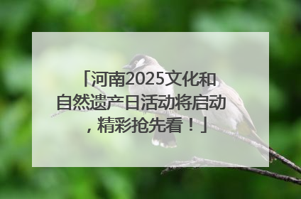 河南2025文化和自然遗产日活动将启动，精彩抢先看！