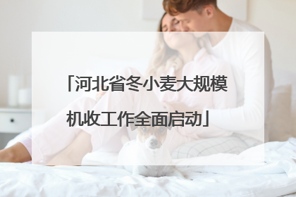 河北省冬小麦大规模机收工作全面启动