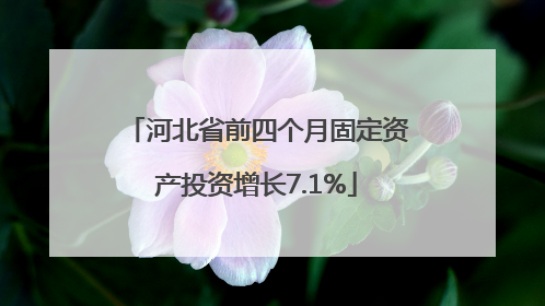 河北省前四个月固定资产投资增长7.1%