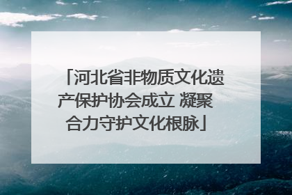 河北省非物质文化遗产保护协会成立 凝聚合力守护文化根脉