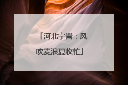 河北宁晋：风吹麦浪夏收忙