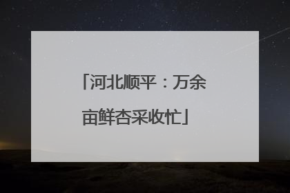 河北顺平：万余亩鲜杏采收忙