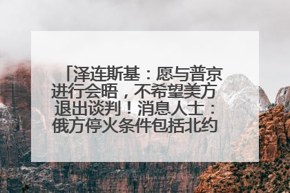 泽连斯基：愿与普京进行会晤，不希望美方退出谈判！消息人士：俄方停火条件包括北约“书面”保证不东扩