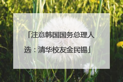 注意韩国国务总理人选：清华校友金民锡