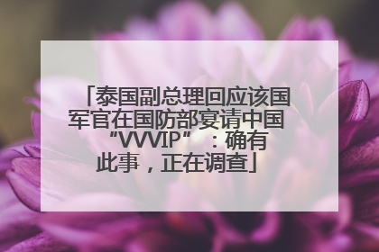 泰国副总理回应该国军官在国防部宴请中国“VVVIP”：确有此事，正在调查