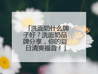 洗面奶什么牌子好？洗面奶品牌分享，你的夏日清爽福音！