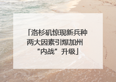 洛杉矶惊现新兵种 两大因素引爆加州“内战”升级