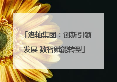 洛轴集团：创新引领发展 数智赋能转型