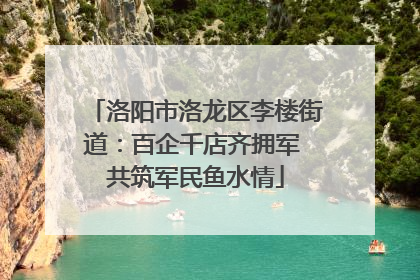 洛阳市洛龙区李楼街道：百企千店齐拥军 共筑军民鱼水情