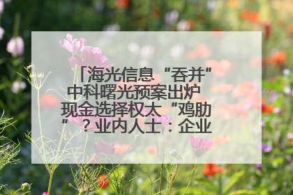 海光信息“吞并”中科曙光预案出炉 现金选择权太“鸡肋”？业内人士：企业不想大量现金流出