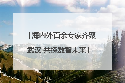 海内外百余专家齐聚武汉 共探数智未来