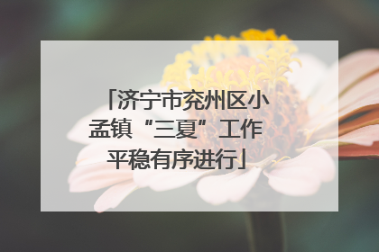 济宁市兖州区小孟镇“三夏”工作平稳有序进行